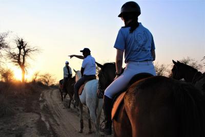 Aravali Trail Experience- Horseback Riding