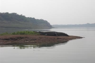 Chambal Safari - Same Day Excursion From Agra Chambal Safari - Same Day Excursion From Agra