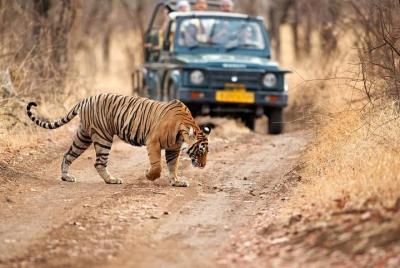 Delhi - Ranthambore Trip - A 2-Day Trip In Private Car Delhi - Ranthambore Trip - A 2-Day Trip In Private Car