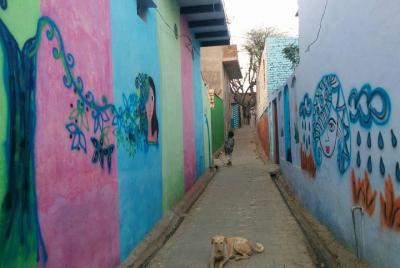 Day Tour of the village and shaking minerate