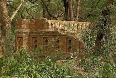 Delhi Urban & Heritage Adventures Delhi Urban & Heritage Adventures