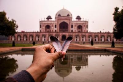 8 Hour: Best of Old & New Delhi Tour 8 Hour: Best of Old & New Delhi Tour