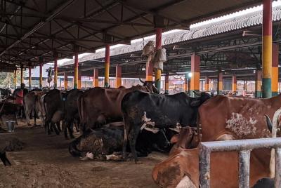 Discover never seen before sights: Delhi by Dawn Tour with Guide & Transport Discover never seen before sights: Delhi by Dawn Tour with Guide & Transport