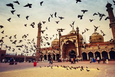Old Delhi Walk And Red Fort Half Day Tour Old Delhi Walk And Red Fort Half Day Tour