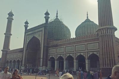 Delhi City Tour with Private Transport and Guide Delhi City Tour with Private Transport and Guide