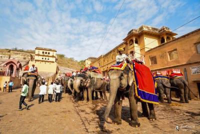 Private Tour: Same Day Jaipur (Pink City) Tour from Delhi