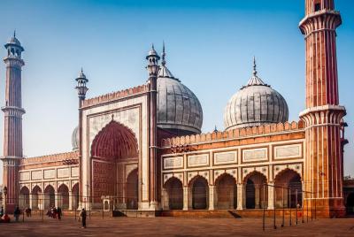 Private - Old Delhi Half Day Sightseeing Tour Private - Old Delhi Half Day Sightseeing Tour