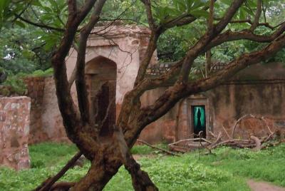 Delhi Haunted and Creepy Ruins Discovery