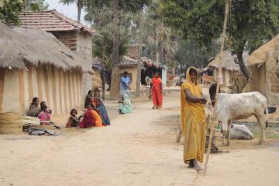 All Inclusive Tribal Village Walk with Visit to Taragram Project from Orchha All Inclusive Tribal Village Walk with Visit to Taragram Project from Orchha
