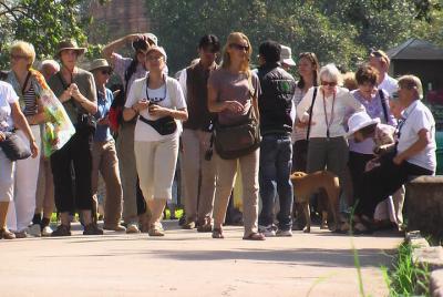 Orchha Sightseeing By Professional Certified Guide, Guide Tour In Orchha.  Orchha Sightseeing By Professional Certified Guide, Guide Tour In Orchha.