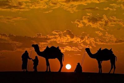 Overnight Camel Safari with Camping Overnight Camel Safari with Camping