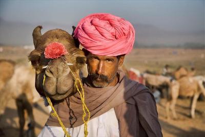 Private One Way Transfer From Pushkar To Jaipur In AC Vehicle Private One Way Transfer From Pushkar To Jaipur In AC Vehicle
