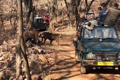 Skip the Line: Gypsy Safari Booking Ticket Skip the Line: Gypsy Safari Booking Ticket