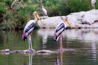Excursion to Surwal Lake With Transfers & Guided Trip Excursion to Surwal Lake With Transfers & Guided Trip