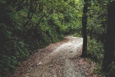 Seegreen Nature Walk - Mussoorie