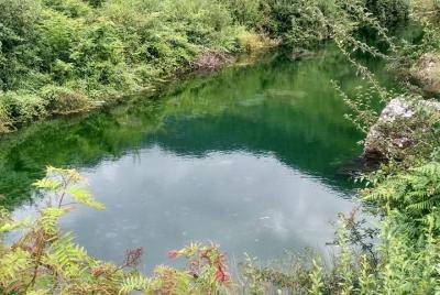 Panchgai Camp, Jakhol, Uttarkashi, Uttarakhand
