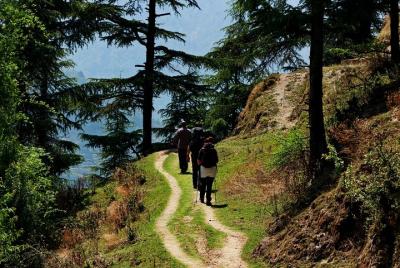Trek Trek's around Mussoorie