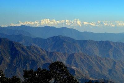 Binog Wildlife Sanctuary