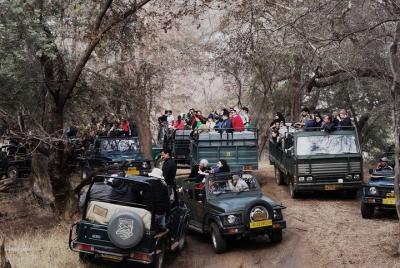 3-Hour Shared Safari in Ranthambore Tiger Reserve  3-Hour Shared Safari in Ranthambore Tiger Reserve