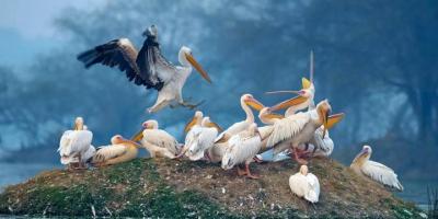 Private Transfers Sawai Madhopur To Bharatpur Drop Private Transfers Sawai Madhopur To Bharatpur Drop