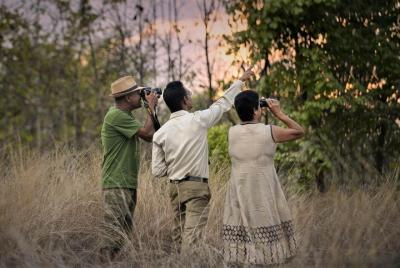 Private Full day Guided city tour with nature walk in shimla