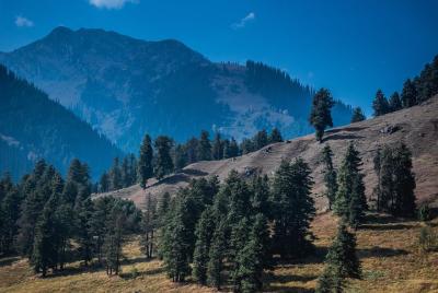 Srinagar to Pahalgam Full Day Excursion Srinagar to Pahalgam Full Day Excursion