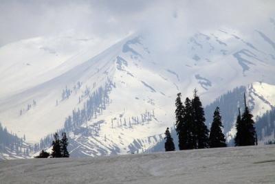 Srinagar to Gulmarg Full Day Excursion Srinagar to Gulmarg Full Day Excursion