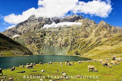 Private Tour 4 Days 5 Nights Private Tour 4 Days 5 Nights