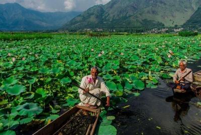 Private 4 Days Amazing Kashmir Tour From Srinagar  Private 4 Days Amazing Kashmir Tour From Srinagar