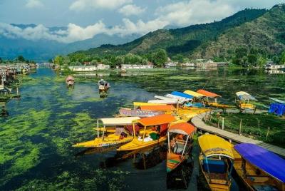 Full day tour of Srinagar with Entrance Fee, Guide, Shikara ride & Lunch Full day tour of Srinagar with Entrance Fee, Guide, Shikara ride & Lunch