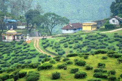 Explore The Rustic Life Of Thekkady Explore The Rustic Life Of Thekkady