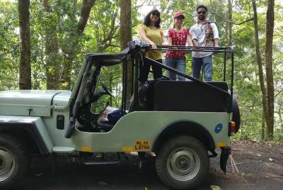 Tea Estates and Waterfall Exploration in a Jeep in Kerala - A Guided Tour Tea Estates and Waterfall Exploration in a Jeep in Kerala - A Guided Tour