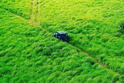 Explore Gavi Forest, Kerala in a Jeep - A Guided Tour Including Meals Explore Gavi Forest, Kerala in a Jeep - A Guided Tour Including Meals