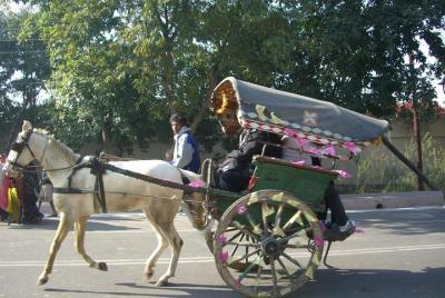 Udaipur - Guided walking tour with Famous Tonga Ride 