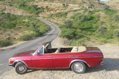 Udaipur Sightseeing  Udaipur Sightseeing