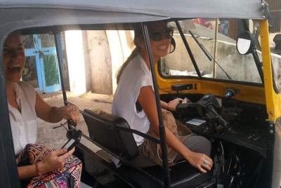 Udaipur Private Tour By TUK TUK