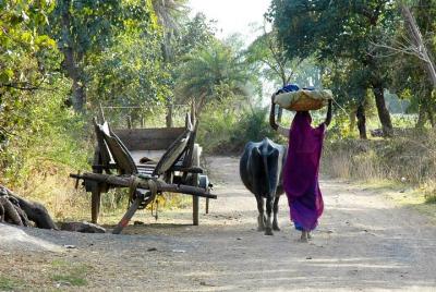Varanasi village tour 