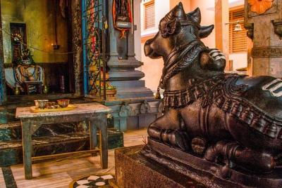 3-Hour Guided Riverside Walking Tour to Temples of Varanasi