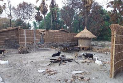 Village Tour in India