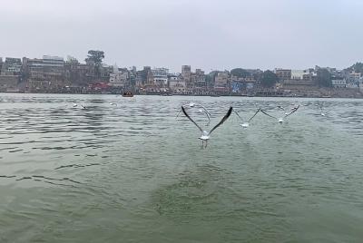 Kashi Tour By Bigjump Kashi Tour By Bigjump