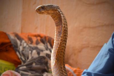 Walking Tour Walking Tour