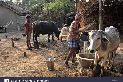 Village Tour Village Tour