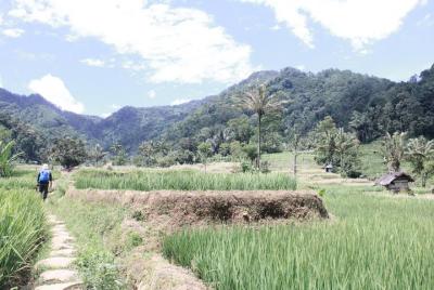 North of Bandung all the way to Subang trial North of Bandung all the way to Subang trial
