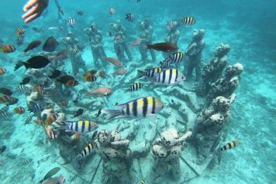 Gili island Snorkeling Half Day Trip departure from Gili Trawangan Gili island Snorkeling Half Day Trip departure from Gili Trawangan