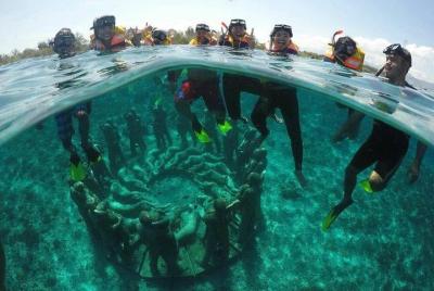 Snorkeling (Depart Gili T),Gili Trawangan, Gili Meno, Snorkeling (Depart Gili T),Gili Trawangan, Gili Meno,