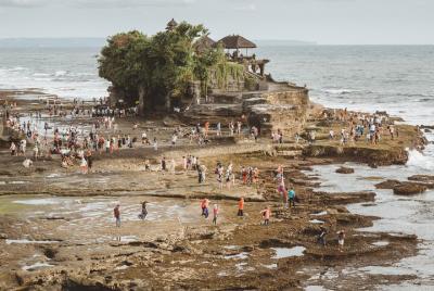 3-Day Bali North Tour with Snorkeling, Dolphin Watching And Ijen  3-Day Bali North Tour with Snorkeling, Dolphin Watching And Ijen