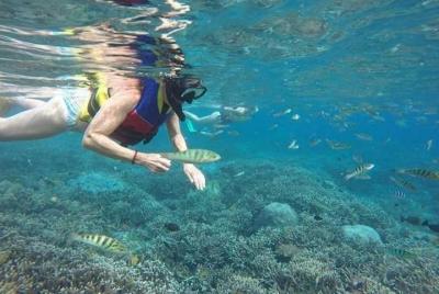 Ubud Snorkeling Sunset Temple Private Guided Tour - Free WiFi Ubud Snorkeling Sunset Temple Private Guided Tour - Free WiFi