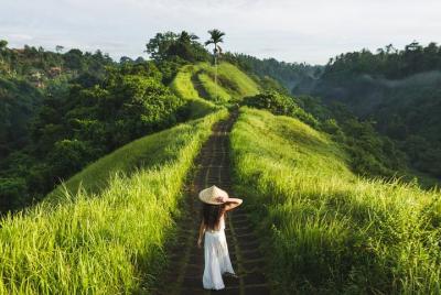 Design-Your-Own Tour: Private Customized Bali Tour Design-Your-Own Tour: Private Customized Bali Tour