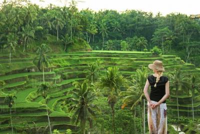 Best of Ubud Tour : Monkey Forest - Rice Terrace - Water Temple - Waterfall Best of Ubud Tour : Monkey Forest - Rice Terrace - Water Temple - Waterfall