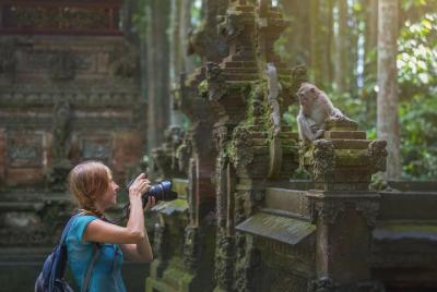 Ubud Small Group Tour: Monkey Forest, Tegalalang Rice Terraces and more Ubud Small Group Tour: Monkey Forest, Tegalalang Rice Terraces and more